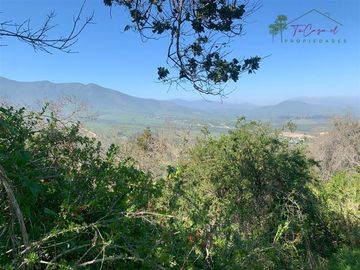 Hermosa Parcela 20 hectáreas en venta Los Hornos - Huaquén