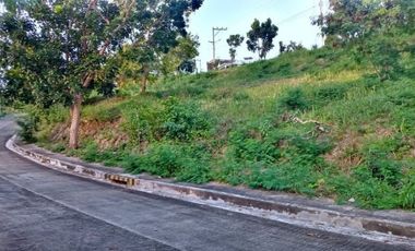 Overlooking 157 Sqm Lot for Sale in Vista Grande Talisay Cebu City