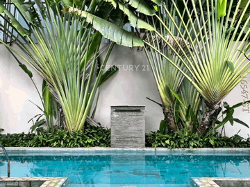 Rumah Modern Tropical Dilengkapi Dengan Swimming Pool Depan Fasum