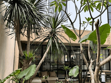 Rumah Modern Tropical Dilengkapi Dengan Swimming Pool Depan Fasum