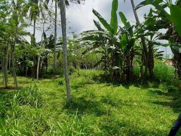 Kavling Griya Kencana ARjasa, Harga Mulai 50 Jutaan