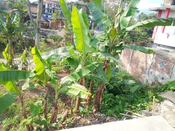 226 M2 Tanah 2 Muka Jalan Untuk Usaha di Ngamprah, Bandung Barat