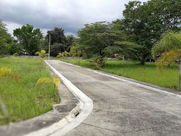 Villa Sta Catalina Lot For Sale n Brgy.Valladolid Car2x City