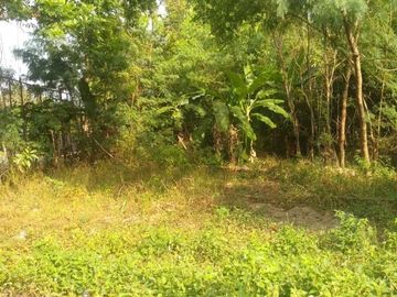 DIJUAL CEPAT Tanah Jogja Legalitas Aman 500 meter dari Jalan Ringroad Utara