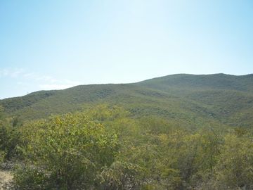Terreno en venta en San Carlos Tamaulipas
