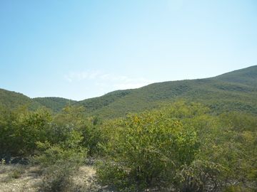 Terreno en venta en San Carlos Tamaulipas