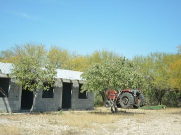 Terreno en venta en San Carlos Tamaulipas