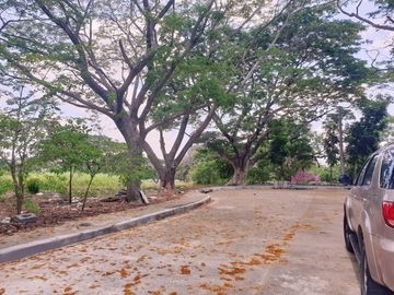 Lot for Sale Fairway view (Player Course) at Orchard Golf , Dasmarinas