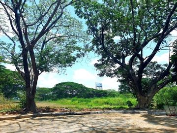 Lot for Sale Fairway view (Player Course) at Orchard Golf , Dasmarinas