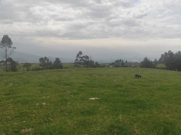 Amplia Hacienda de 18 Has en Venta Sector Via Pintag