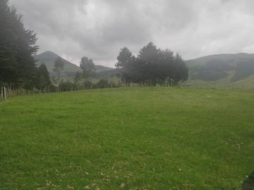Amplia Hacienda de 18 Has en Venta Sector Via Pintag