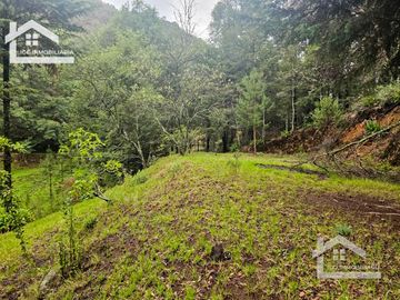 BONITO TERRENO EN MINERAL DEL CHICO CARBONERAS