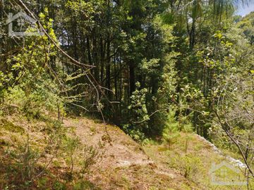 BONITO TERRENO EN MINERAL DEL CHICO CARBONERAS