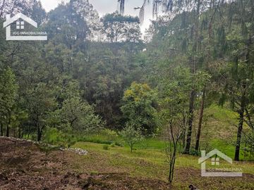 BONITO TERRENO EN MINERAL DEL CHICO CARBONERAS