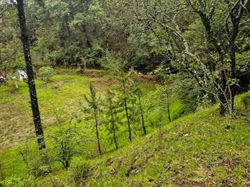 BONITO TERRENO EN MINERAL DEL CHICO CARBONERAS