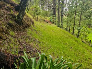 BONITO TERRENO EN MINERAL DEL CHICO CARBONERAS
