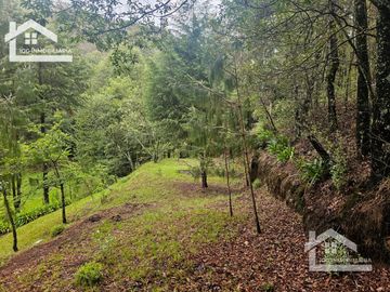 BONITO TERRENO EN MINERAL DEL CHICO CARBONERAS