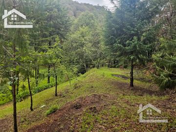 BONITO TERRENO EN MINERAL DEL CHICO CARBONERAS