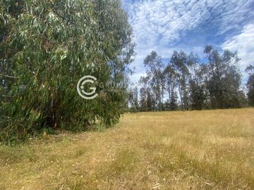 CAMPO DE 6 HA SECTOR ÑANCULEN, LA UNION