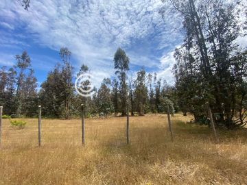 CAMPO DE 6 HA SECTOR ÑANCULEN, LA UNION