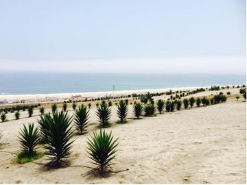 Terreno en Venta en el Condominio Mar y Bosques