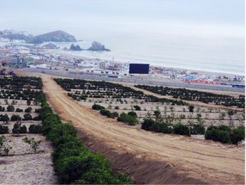 Terreno en Venta en el Condominio Mar y Bosques