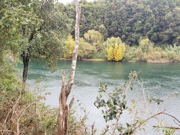 Casa con Parcela, Orilla Rio, Sector Los Guapes, Los Lagos, Región de Los Ríos