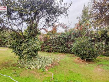 🏠León Propiedades vende o arrienda hermosa casa en sector Los Naranjos , Curacavi🏠