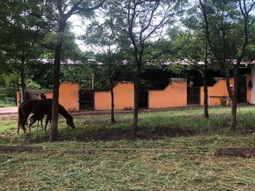 VENTA de Hacienda, quinta, campo sector Progreso
