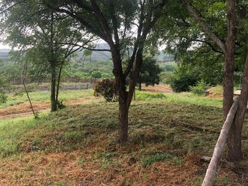 VENTA de Hacienda, quinta, campo sector Progreso