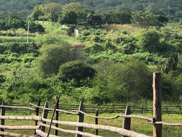 VENTA de Hacienda, quinta, campo sector Progreso