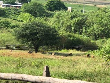 VENTA de Hacienda, quinta, campo sector Progreso