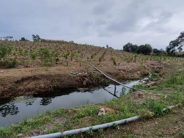 Palenque, Venta Excelente Hacienda con Plantación y Producción Establecidas