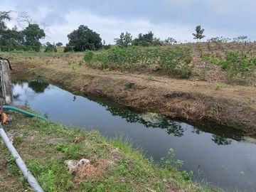 Palenque, Venta Excelente Hacienda con Plantación y Producción Establecidas