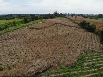 Palenque, Venta Excelente Hacienda con Plantación y Producción Establecidas