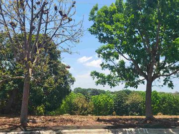 320 Sqm Inner Lot For Sale Inside Manila Southwoods Residential Estate Phase 5 Near The Entrance