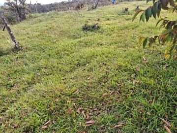 VENTA DE TERRENO EN BARBOSA ANTIOQUIA.