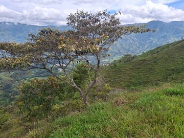 VENTA DE TERRENO EN BARBOSA ANTIOQUIA.