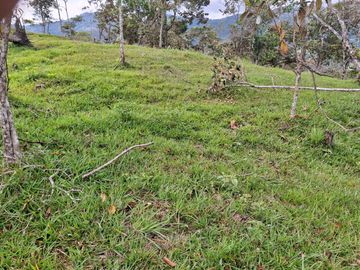 VENTA DE TERRENO EN BARBOSA ANTIOQUIA.