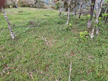 VENTA DE TERRENO EN BARBOSA ANTIOQUIA.