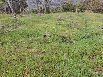 VENTA DE TERRENO EN BARBOSA ANTIOQUIA.