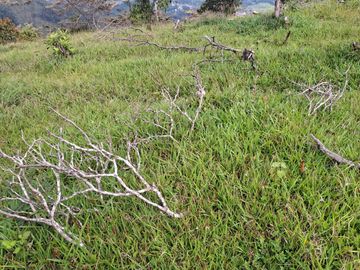 VENTA DE TERRENO EN BARBOSA ANTIOQUIA.