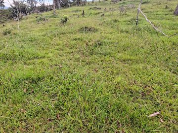 VENTA DE TERRENO EN BARBOSA ANTIOQUIA.
