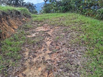 VENTA DE TERRENO EN BARBOSA ANTIOQUIA.