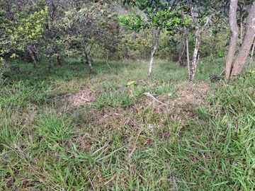 VENTA DE TERRENO EN BARBOSA ANTIOQUIA.