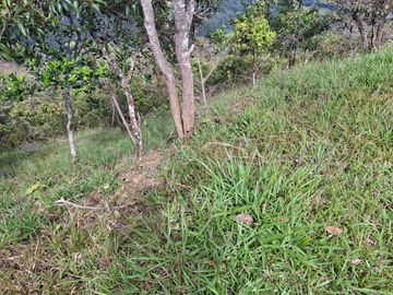 VENTA DE TERRENO EN BARBOSA ANTIOQUIA.