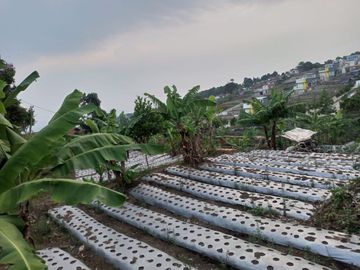 2200 M2 Tanah Strategis Cocok Untuk Cluster / Villa, Jambudipa, Cisarua, Bandung Barat