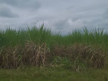 Terreno de Venta en Sector Milagro