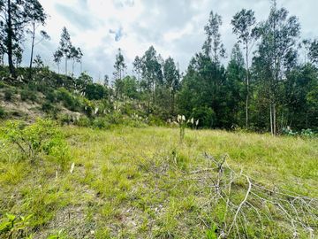 HERMOSO TERRENO EN SANTA MARTHA