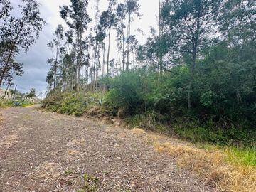 HERMOSO TERRENO EN SANTA MARTHA